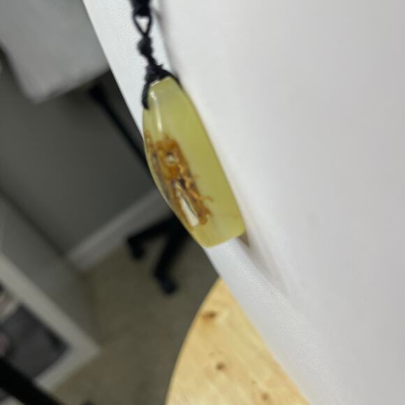 Insect pendant necklace on black cord gothic unusual jewelry costume - Picture 4 of 14